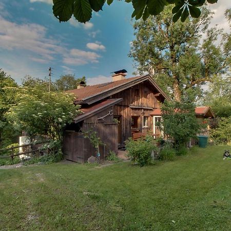 Ferienwohnung Schmidt - Natur Und Ruhe Schwaigen Bagian luar foto