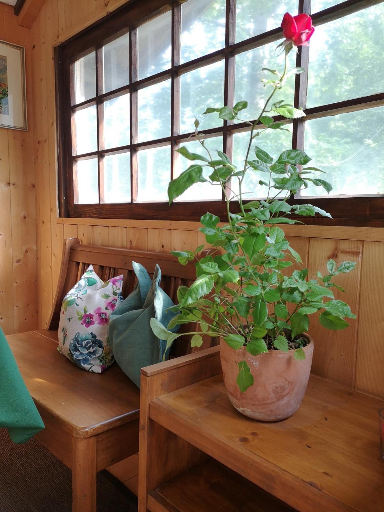 Ferienwohnung Schmidt - Natur Und Ruhe Schwaigen Ruang foto